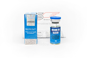 Sustanon 250 Injection