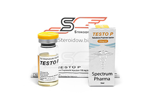 Testo P