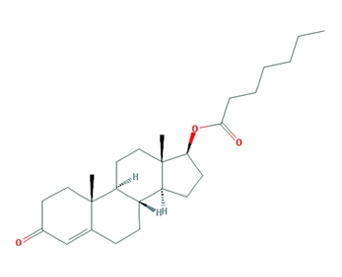 Тестостерон энантат