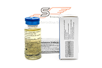 Testosterone Undecanoate Injection U.S.P.